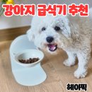 헤이세라믹 | [헤이픽] 마그네틱 모던 펫 높이조절 세라믹 식기 사용 후기