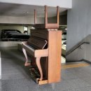신장유 일동미라주 더파크 이미지