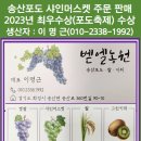 벧엘농원 이미지