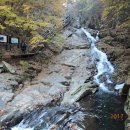 중앙동122 이미지