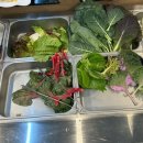 뜨락한식뷔페식당 이미지