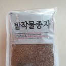 수연 이미지
