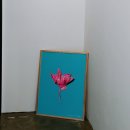 어바웃레스트 | 찬누리마을카페[어바웃레스트]/검산동분위기깡페카페/파주예쁜카페/about Rest