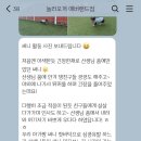 놀러오개 애견유치원 애견호텔 에버랜드점 이미지