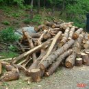 성프란치스꼬수녀원 이미지