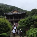 영주 성혈사 신중탱화 | 2025 사찰 순례; 부석사, 직지사