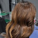 산호애견미용실 이미지