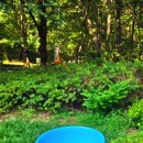 수리산산림욕장 이미지