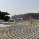 왕송못서길 이미지