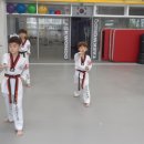 금호태권도장 이미지