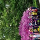 부평생태습지[부평-5] 이미지