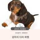 청학동물병원 이미지