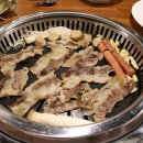 일차고기 이미지