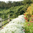 오후의스케치북 이미지