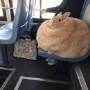 우리동네초가집 | 결론은없다