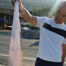 거제도에서 가장 흔항 생선...갈치 이미지