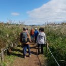 하늘공원 이미지