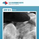 탄방메디칼 이미지