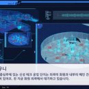 신성미궁