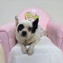 사림동225 이미지