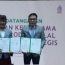 디에프 이미지