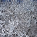 백운산 신촌 이미지