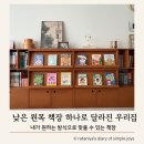 거실 낮은 원목 책장 하나로 달라진 우리 집, 업체정보 및 실사용 후기