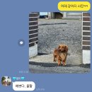 묘운네일