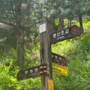 민둥산 등산 급경사 최단코스 후기 feat.10월 억세축제