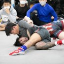 골드 레슬링 부산 이미지