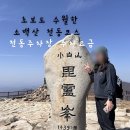 천동관광지 | 소백산 철쭉제 개화 현황 및 역대급 노잼 소백산 천동코스 후기