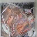 군산대박 이미지