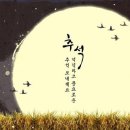 닉베이프 코리아