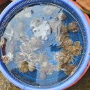 보령구두마트 | 대천해수욕장근처 대천항 횟집 예진수산 자연산 광어시세 쭈꾸미샤브 포장후기 feat My 60th Birthday