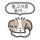 누리동물병원 이미지