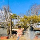 윤희유치원 이미지