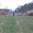 우리밀밭 이미지