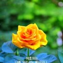 샬롬 - 종로구 율곡로17길 19 | 샬롬