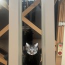 아양뽑기역 이미지