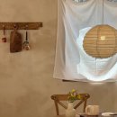 하이몽몽 이미지