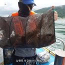 부경호 이미지