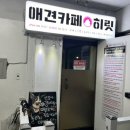 카페히릿 | 건대 애견카페 [애견카페 히릿]에서 심쿵 당하고 온 후기 (내돈내산)