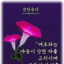 샬롬