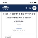 유기견 사체로 동물 사료를 만든다고? 해당 보호소와 사료 업체 처벌 청원 올라왔다! (여시들 화력 지원 부탁해🔥🔥🔥🔥🔥) 이미지