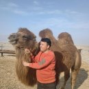 신장축산 이미지