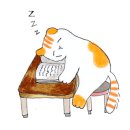 스파단식원 이미지