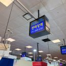 전라상회2 | 노량진 수산시장 봄 제철 도다리 전갱이회 전라상회 포장 내돈내산 후기