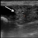 대경연합동물영상센터 이미지
