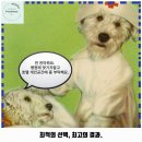 황금애견 | 범어1동 애견카페 애견호텔타임24 황금역점 가격 및 후기 추천 리뷰 주차 예약 알아볼까요