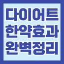 이수한약유통 | 다이어트 한약 효과 있나? 가격과 부작용 복용 후기 총정리!